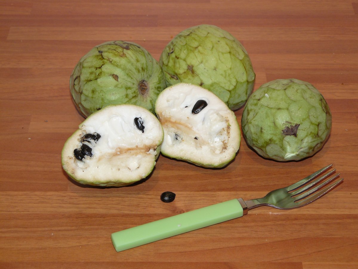 A cherimoya sliced in half beside whole fruits and a fork, showing the creamy white flesh and black seeds