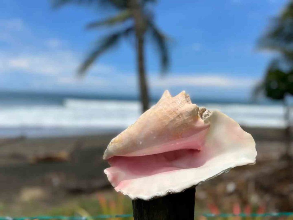 Casa VIP 72 — Backyard Beach House oceanfront villa in Playa Hermosa