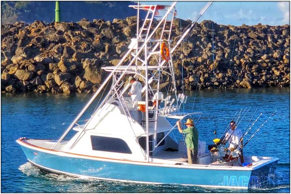 31' Bertram Sportfish sport fishing charter at Los Sueños, Costa Rica